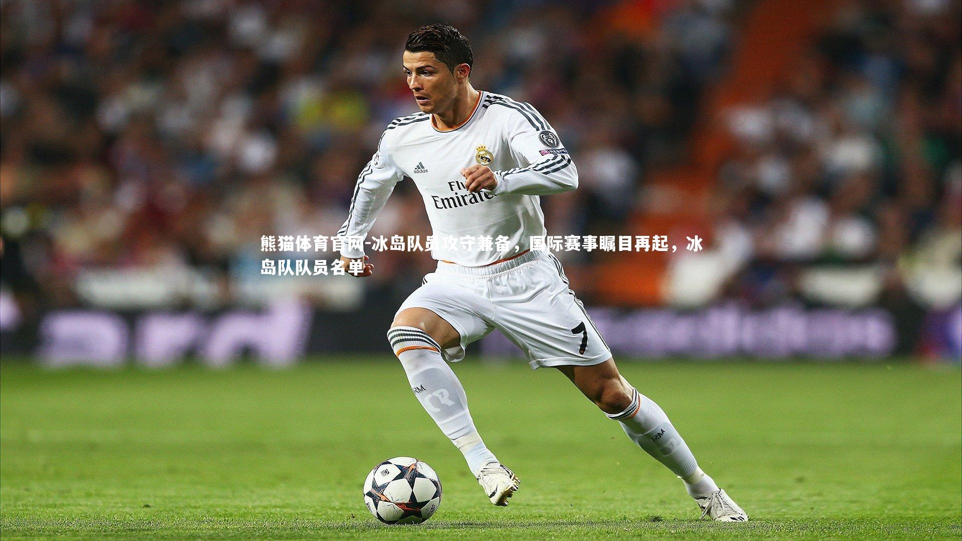 冰岛队员攻守兼备，国际赛事瞩目再起，冰岛队队员名单