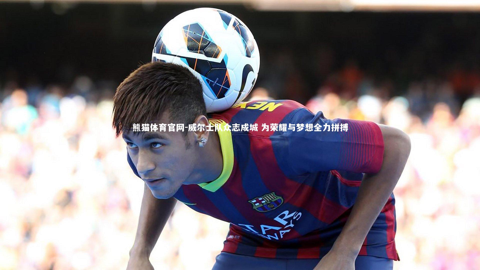威尔士队众志成城 为荣耀与梦想全力拼搏