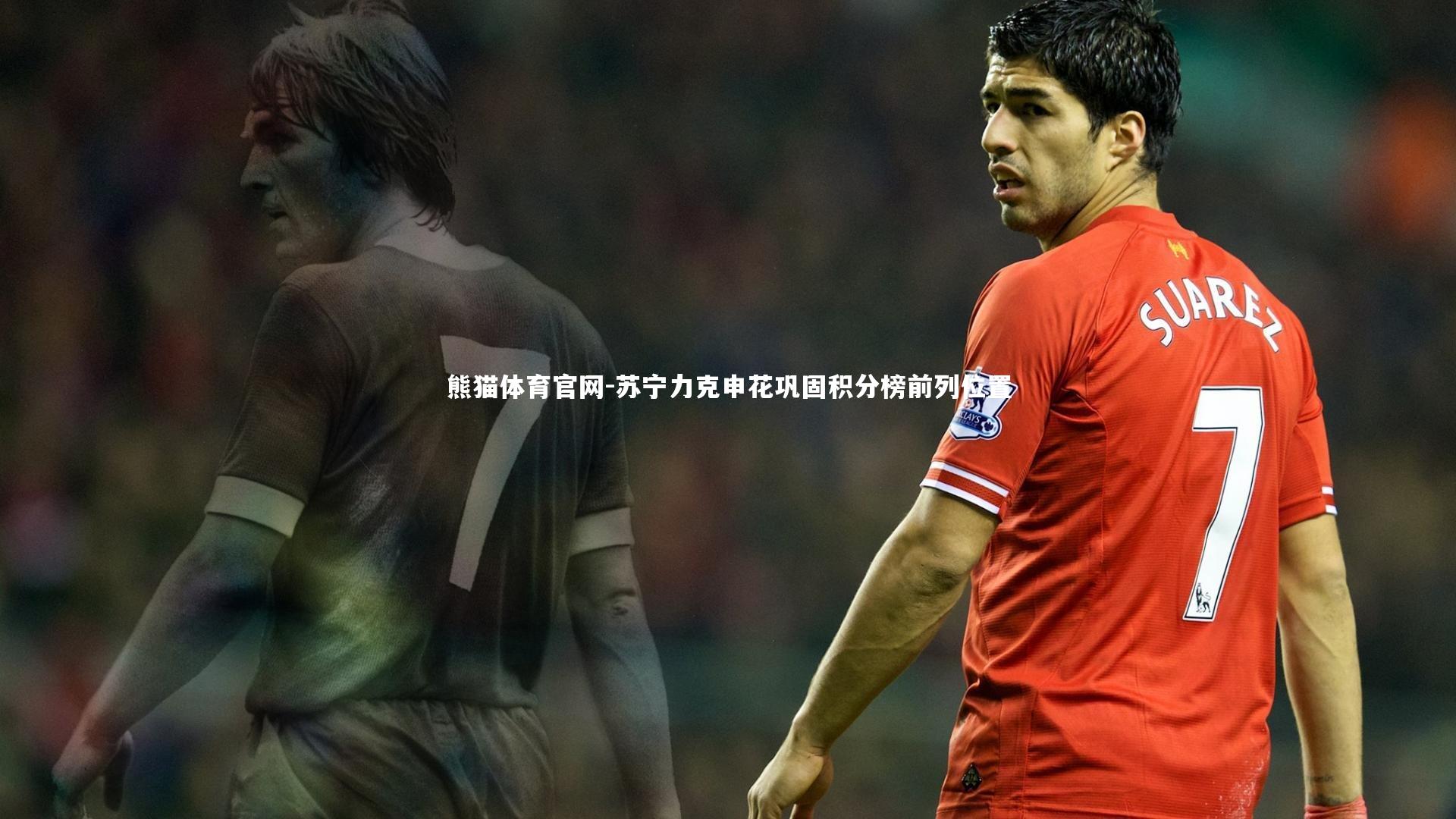 熊猫体育官网-苏宁力克申花巩固积分榜前列位置