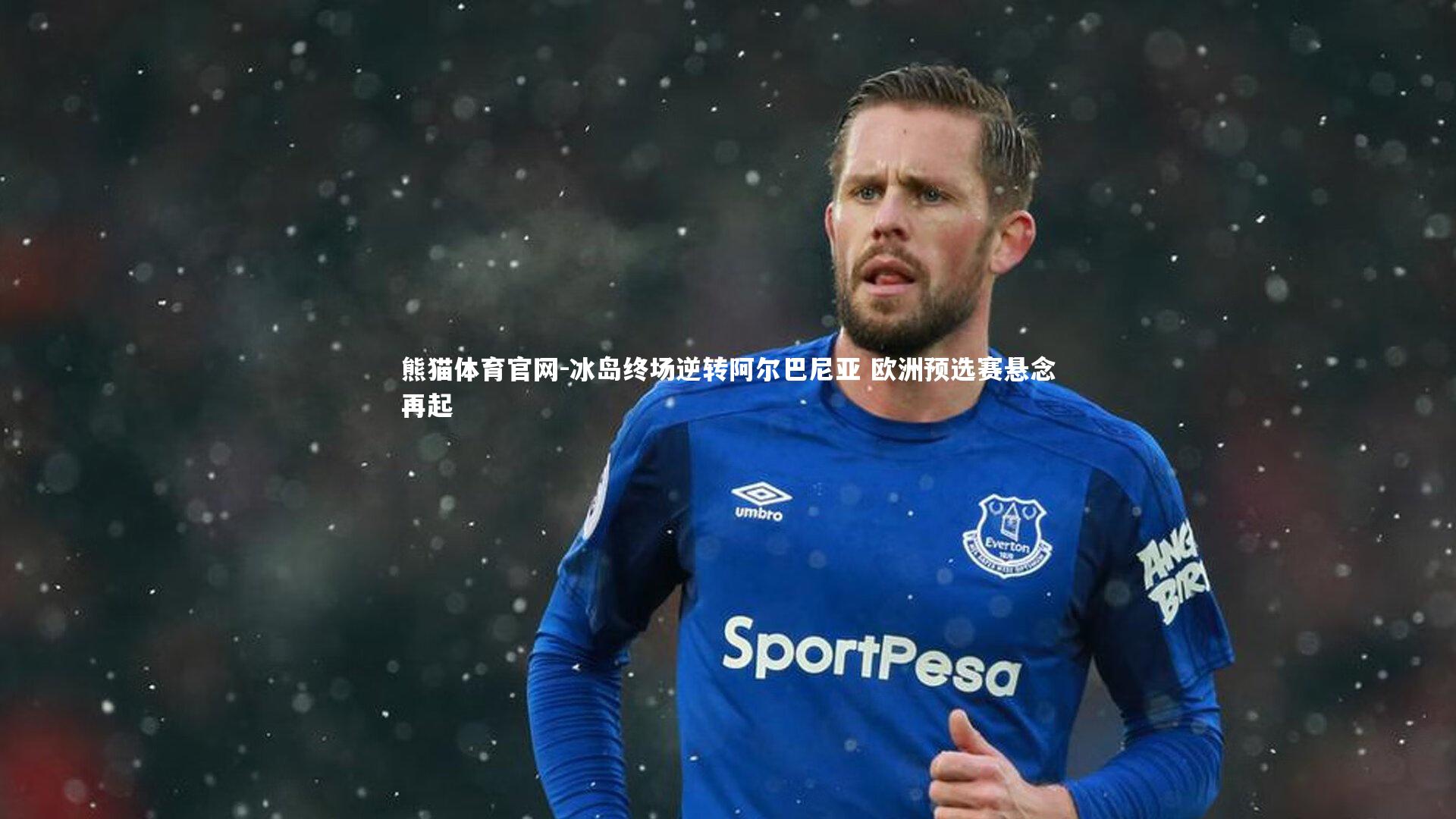 冰岛终场逆转阿尔巴尼亚 欧洲预选赛悬念再起